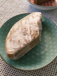 Veganer Käse von Happy Cheeze schmeckt wie Camembert
